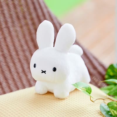 Brunaファミリー うさぎ（ホワイト）＋ドキドキHAPPYBOX電報 | 電報なら「ハート電報」