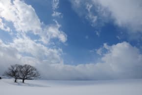 冬を表す美しい日本語